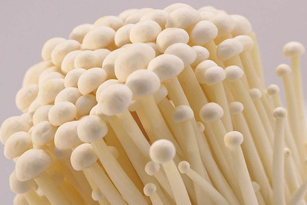 鮮金針菇 鮮金針菇-合序(重慶)鮮金針菇加工配送公司