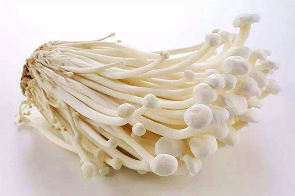 鮮金針菇 鮮金針菇-合序(重慶)鮮金針菇加工配送公司