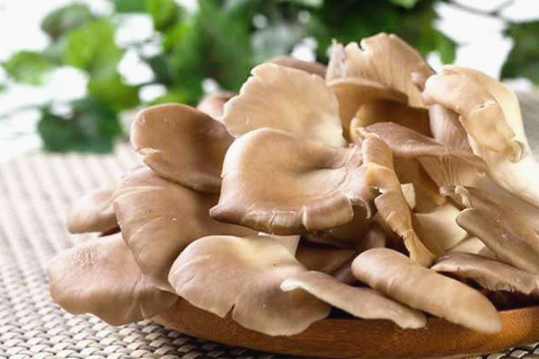 鮮平菇 鮮平菇-合序(重慶)鮮平菇加工配送公司