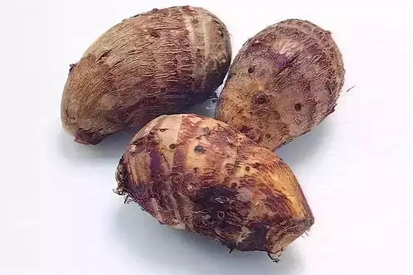 芋頭 芋頭-合序(重慶)芋頭加工配送公司