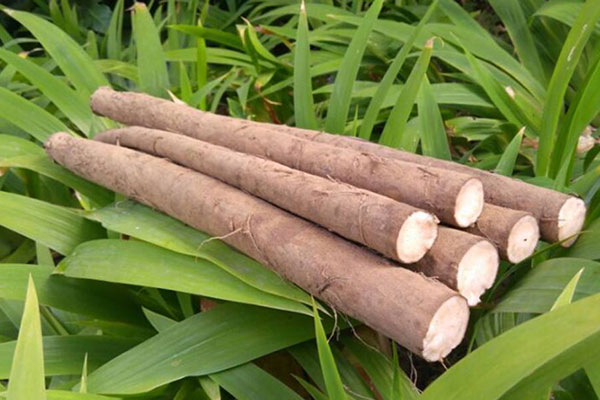 牛蒡 牛蒡-合序(重慶)牛蒡加工配送公司
