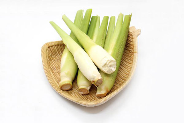 茭白 茭白-合序(重慶)茭白加工配送公司