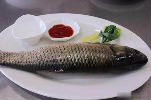 魚肉 魚肉-合序(重慶)魚肉加工配送公司