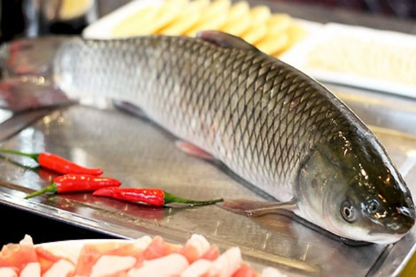 魚肉 魚肉-合序(重慶)魚肉加工配送公司