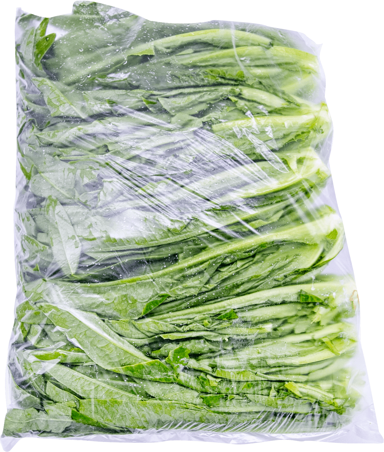 油麥菜 油麥菜-合序(重慶)油麥菜加工配送公司