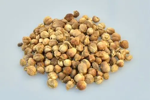 豆蔻 豆蔻-合序(重慶)豆蔻加工配送公司
