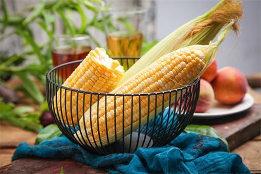 重慶食堂蔬菜批發