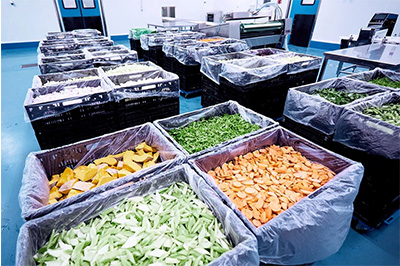 重慶大型凈菜加工公司里面凈菜加工流程是怎樣 重慶大型凈菜加工公司里面凈菜加工流程是怎樣