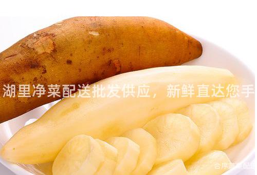 湖里凈菜配送批發供應,新鮮直達您手