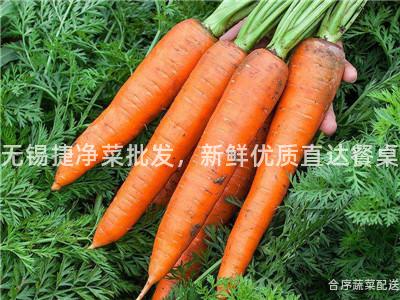 無錫捷凈菜批發,新鮮優質直達餐桌