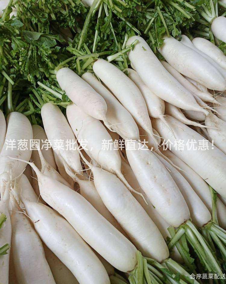洋蔥圈凈菜批發,新鮮直達,價格優惠!