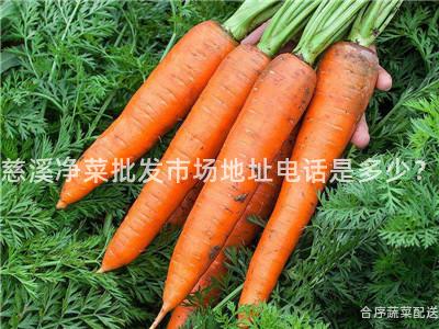 慈溪凈菜批發市場地址電話是多少?