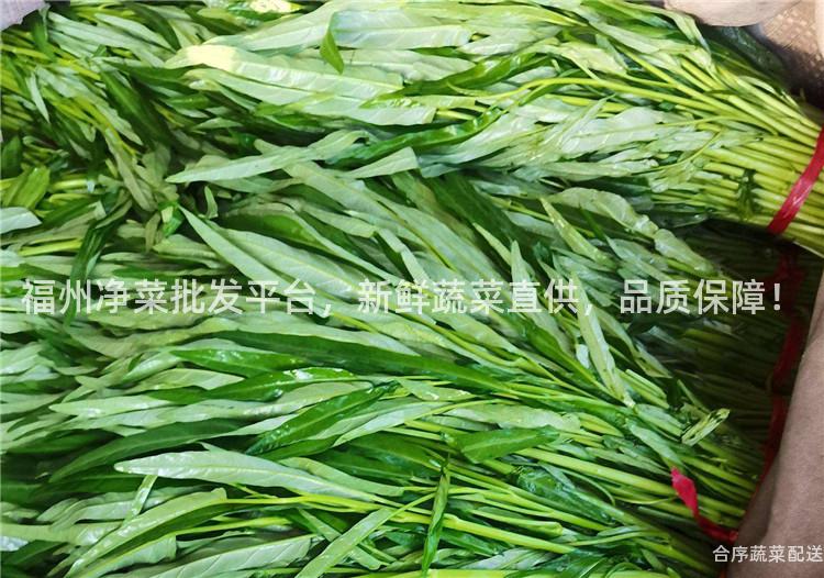 福州凈菜批發平臺,新鮮蔬菜直供,品質保障!