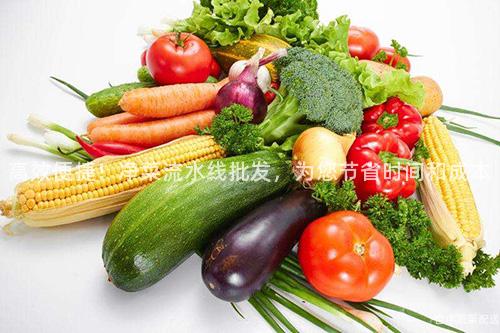 高效便捷!凈菜流水線批發,為您節省時間和成本