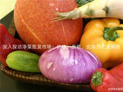 深入探訪凈菜批發市場:價格、品質、交易方式全解析