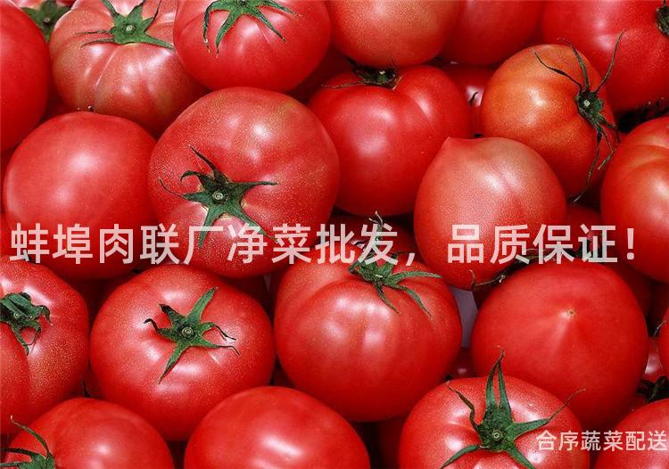 蚌埠肉聯廠凈菜批發,品質保證!