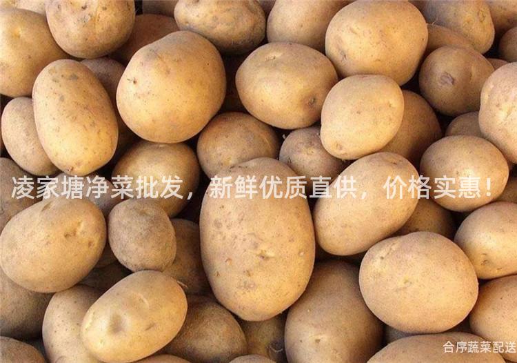 凌家塘凈菜批發,新鮮優質直供,價格實惠!