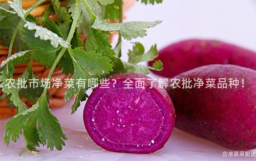 農批市場凈菜有哪些?全面了解農批凈菜品種!