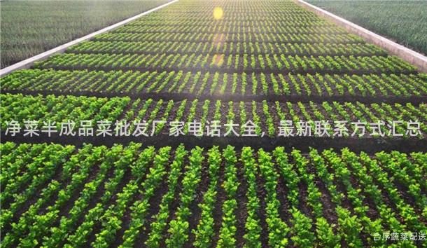 凈菜半成品菜批發廠家電話大全,最新聯系方式匯總
