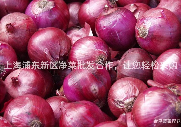 上海浦東新區凈菜批發合作,讓您輕松采購