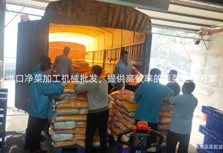 進口凈菜加工機械批發,提供高效率的蔬菜處理方案