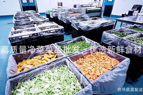 高質量凈菜菜品批發,優選新鮮食材
