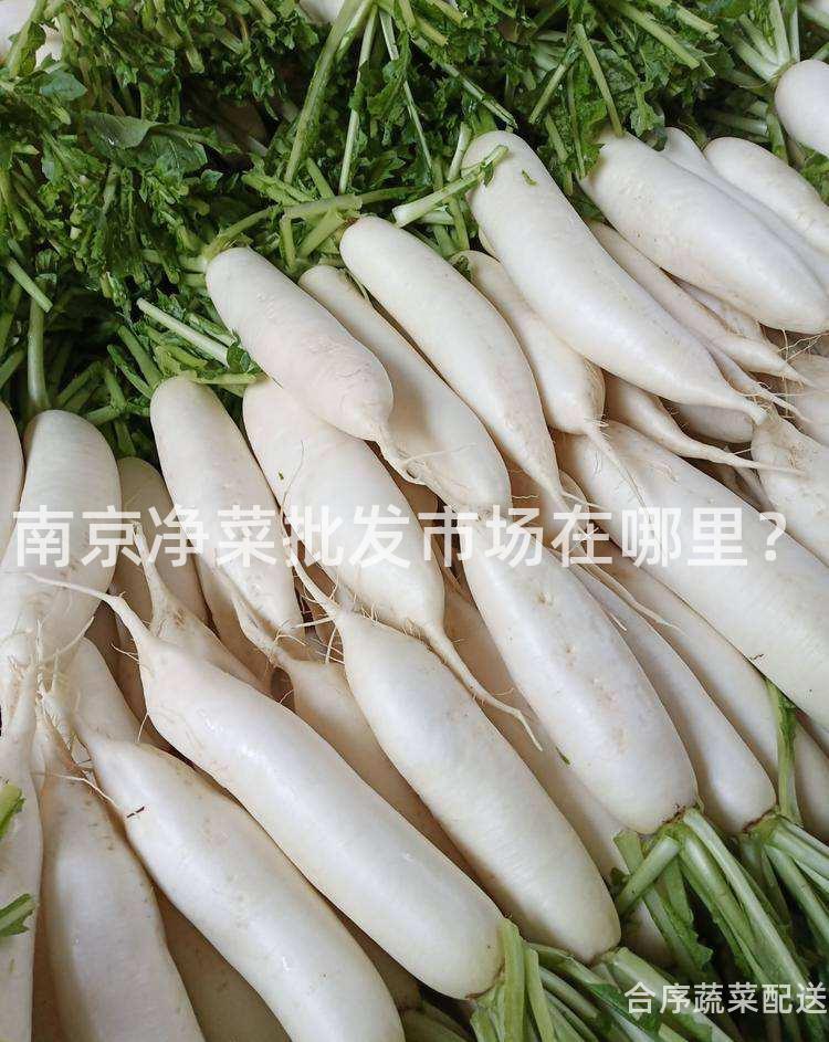 南京凈菜批發市場在哪里?