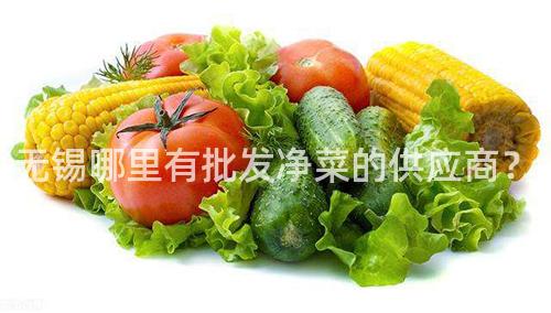 無錫哪里有批發凈菜的供應商?