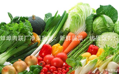 蚌埠肉聯廠凈菜批發:新鮮蔬菜,優質服務!