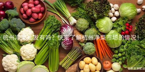 杭州凈菜批發有嗎?快來了解杭州凈菜市場的情況!