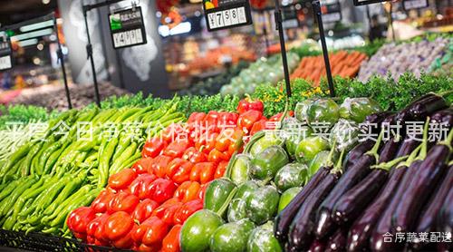 平度今日凈菜價格批發:最新菜價實時更新