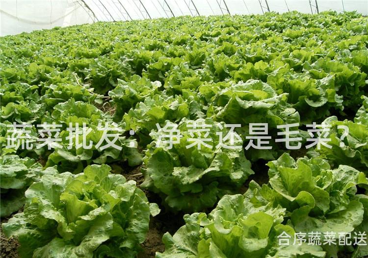 蔬菜批發:凈菜還是毛菜?