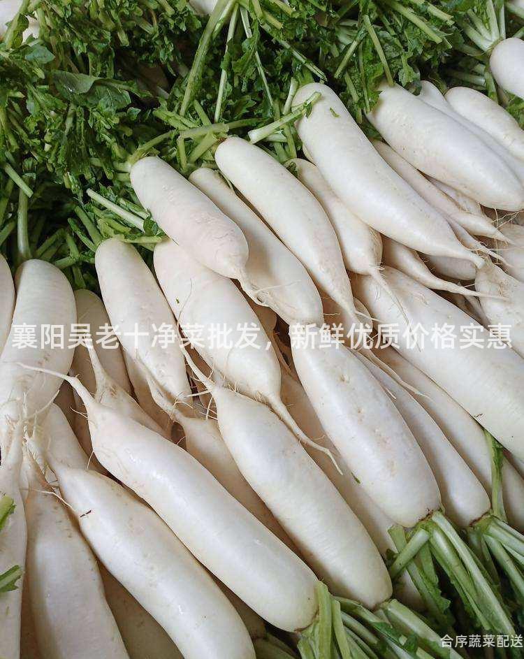 襄陽吳老十凈菜批發,新鮮優質價格實惠