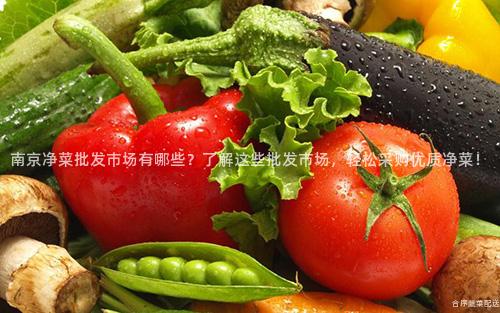 南京凈菜批發市場有哪些?了解這些批發市場,輕松采購優質凈菜!