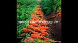 如皋批發凈菜有哪些值得推薦的供應商? 如皋批發凈菜有哪些值得推薦的供應商?