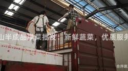 鞍山半成品凈菜批發:新鮮蔬菜,優質服務! 鞍山半成品凈菜批發:新鮮蔬菜,優質服務!