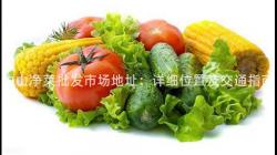 中山凈菜批發市場地址:詳細位置及交通指南 中山凈菜批發市場地址:詳細位置及交通指南