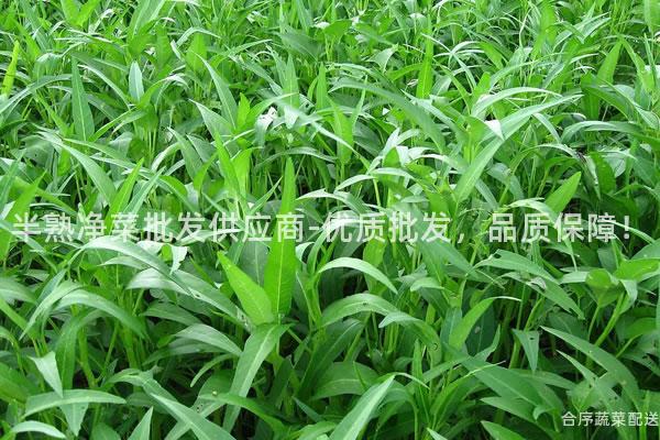 半熟凈菜批發供應商-優質批發,品質保障!