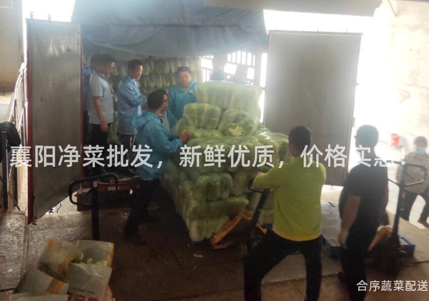 襄陽凈菜批發,新鮮優質,價格實惠!