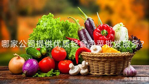 哪家公司提供優質輕食凈菜批發服務?