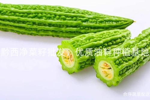 黔西凈菜籽批發,優質油料種植基地