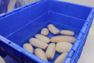 渝北區合序重慶蔬菜配送中心:引領健康生活的綠色先鋒 渝北區合序重慶蔬菜配送中心:引領健康生活的綠色先鋒