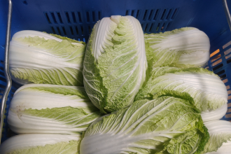 配送蔬菜公司需要哪些資質?全面解析助您合規經營 配送蔬菜公司需要哪些資質?全面解析助您合規經營