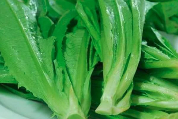 2019年重慶冬油菜生產呈現四高亮點