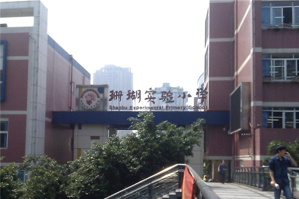 重慶某知名小學食堂食材加工凈鮮蔬菜供應配送