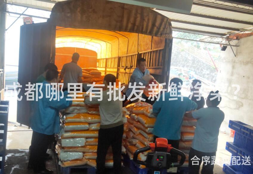 成都哪里有批發新鮮凈菜？