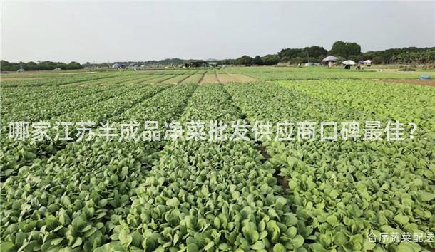 哪家江蘇半成品凈菜批發供應商口碑最佳？