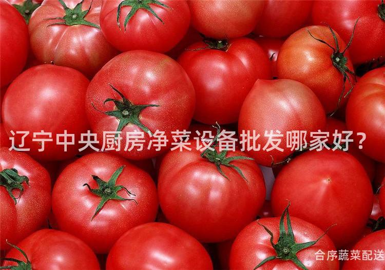 遼寧中央廚房凈菜設備批發哪家好？