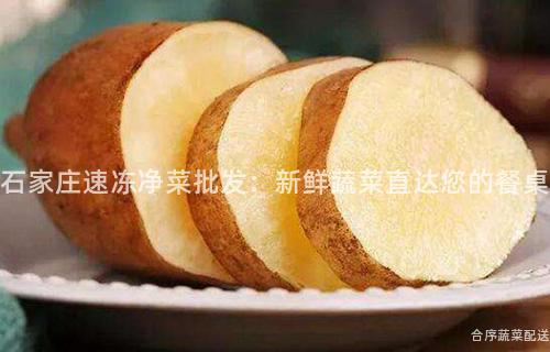 石家莊速凍凈菜批發：新鮮蔬菜直達您的餐桌