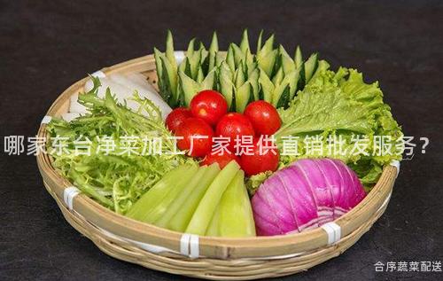 哪家東臺凈菜加工廠家提供直銷批發服務？